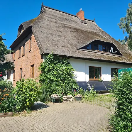 With Garden, Cleaning Included Apartment