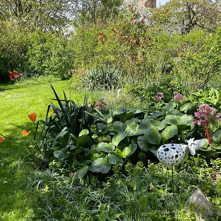Apartment With Garden, Cleaning Included Krusenhagen