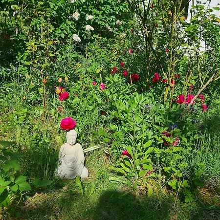 Apartment With Garden, Cleaning Included