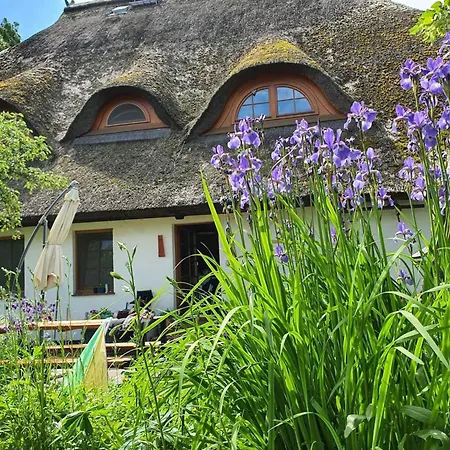 With Garden, Cleaning Included
