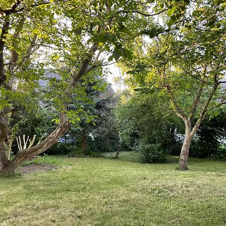 Apartment With Garden, Cleaning Included *