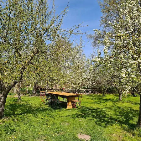 With Garden, Cleaning Included