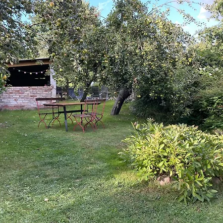 With Garden, Cleaning Included Apartment