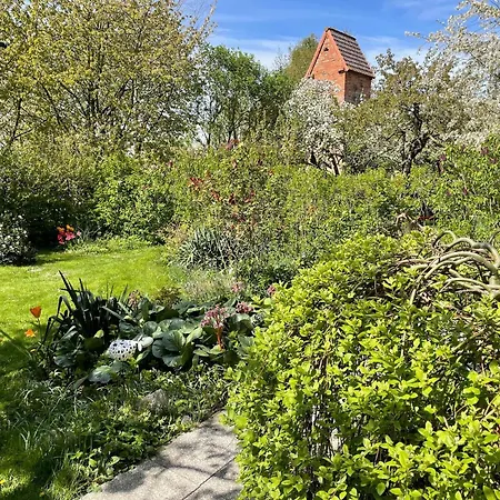 With Garden, Cleaning Included Apartment